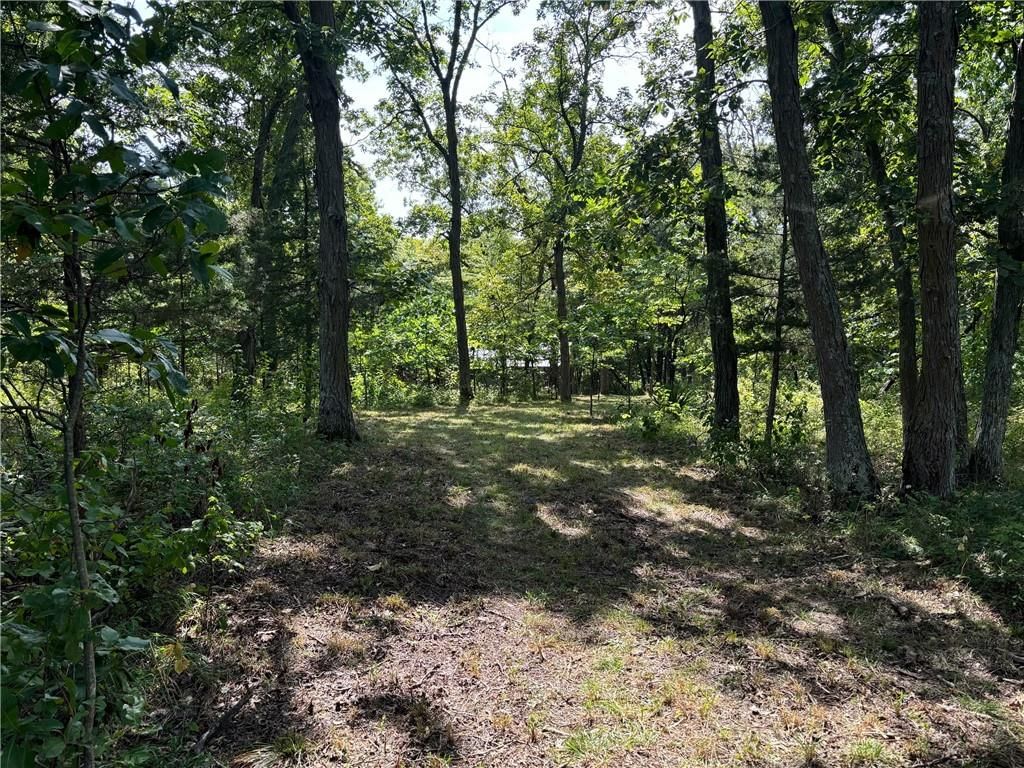 Lot 3074 Lake Viking Terrace — photo 4