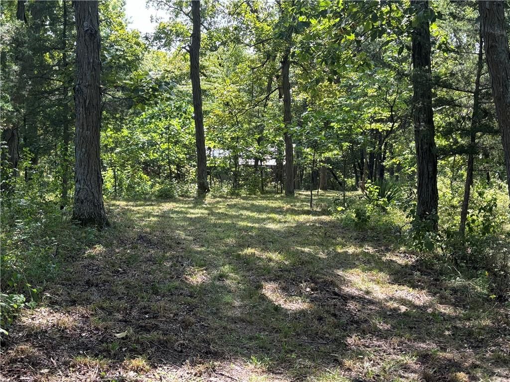 Lot 3074 Lake Viking Terrace — photo 5