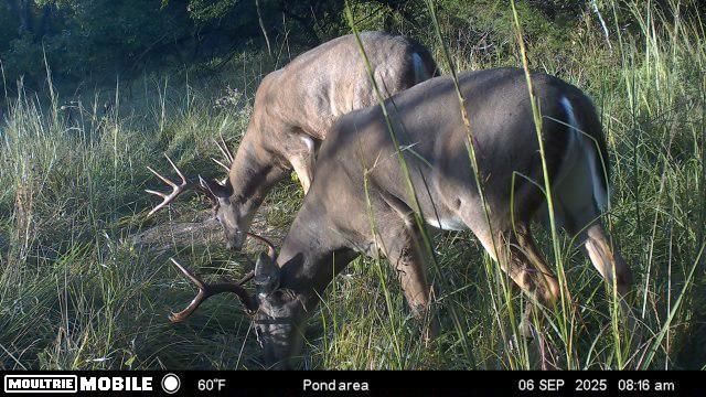 0001 Cold Water Springs Road — photo 3