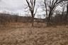 TRACK 1 Brethren Church Road — photo 5