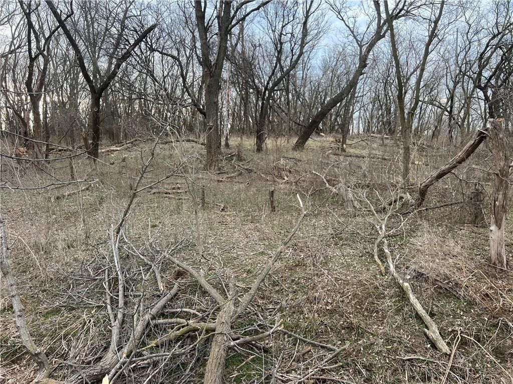 Photo 34 of 78 - 1476 N 13th Street N
