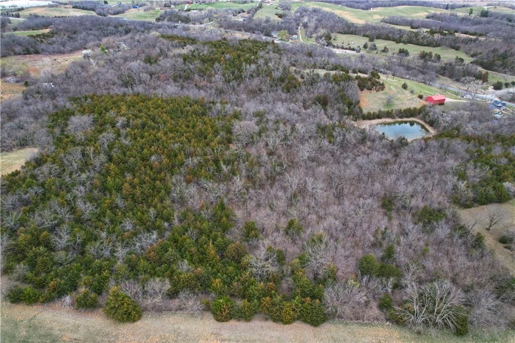 6898 Sherman Road — photo 6