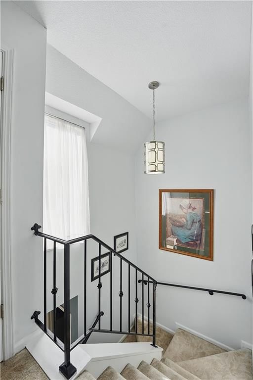 10211 Robinson Street — photo 22
