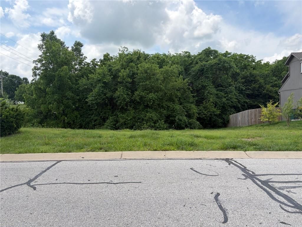911 S 12 Street, Louisburg, KS: listing photo 2