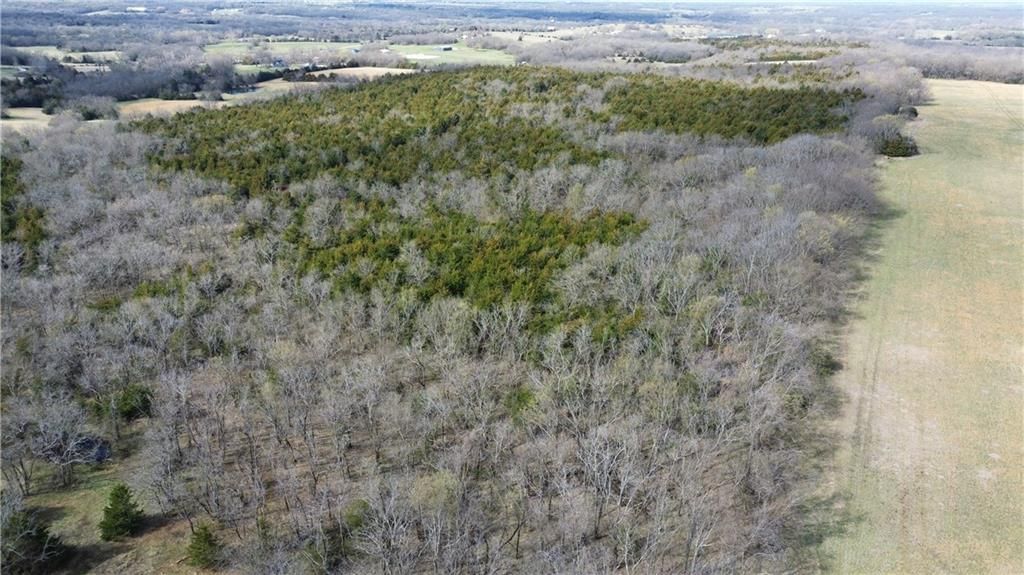 Tract 4 Spring Valley Road — photo 3