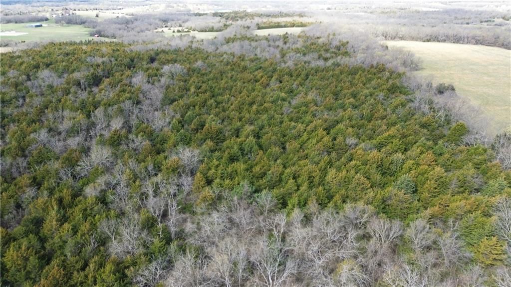 Tract 4 Spring Valley Road — photo 4
