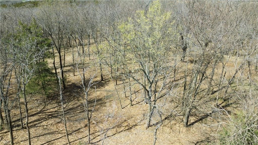 Tract 4 Spring Valley Road — photo 9