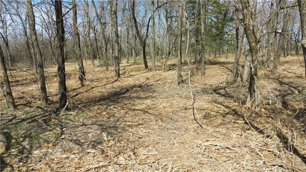 Tract 4 Spring Valley Road — photo 10