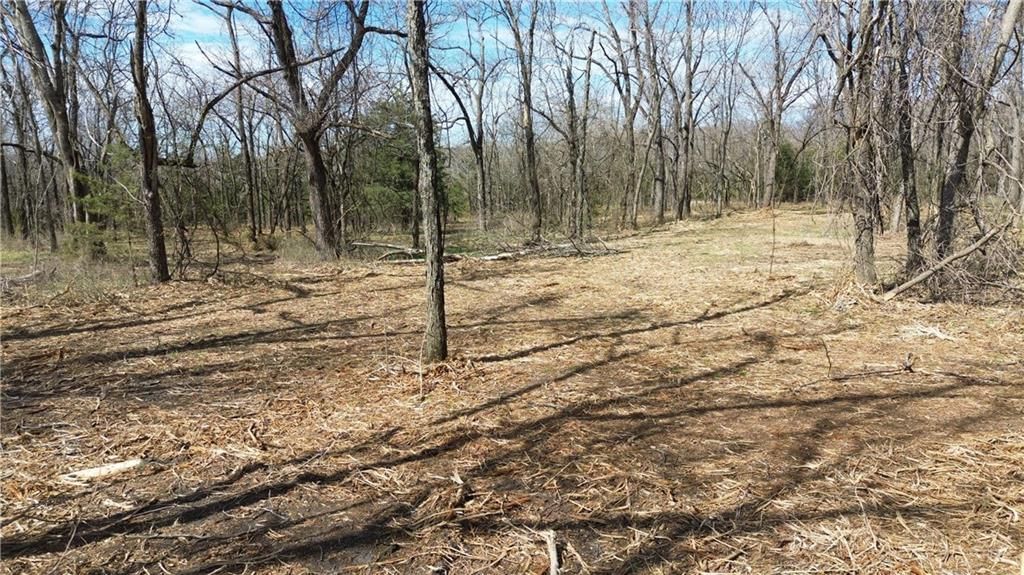 Tract 4 Spring Valley Road — photo 11