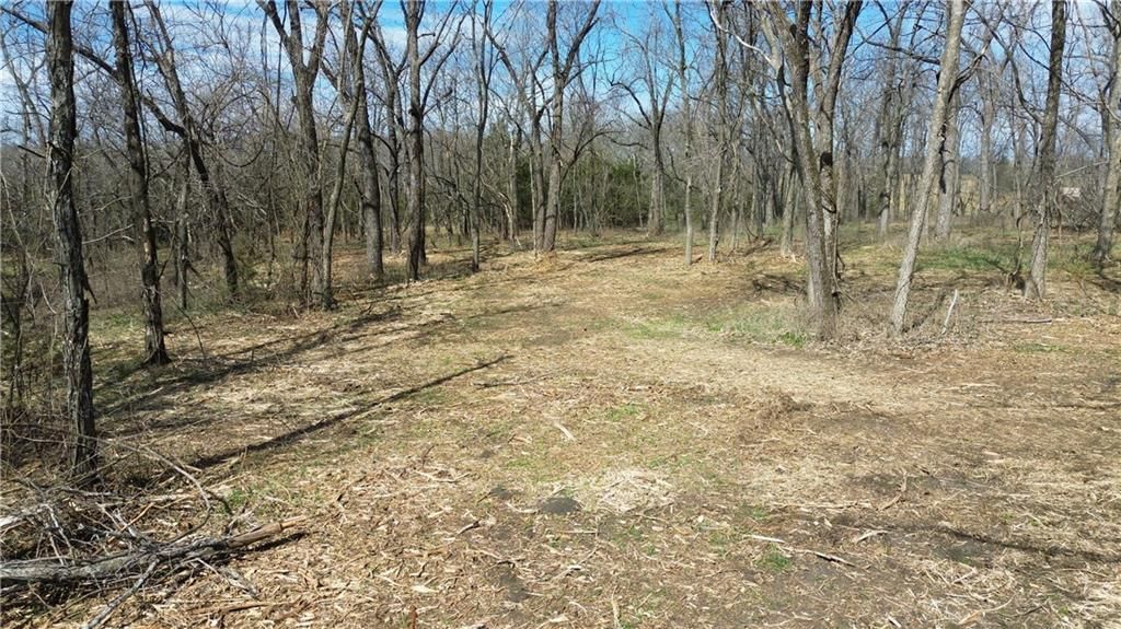 Tract 4 Spring Valley Road — photo 12
