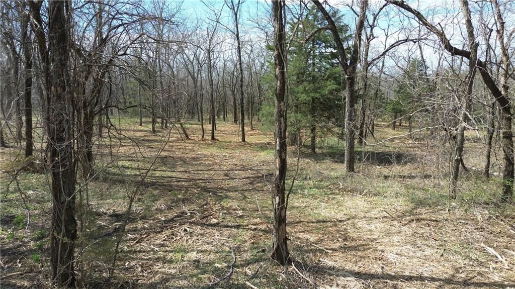 Tract 4 Spring Valley Road — photo 13