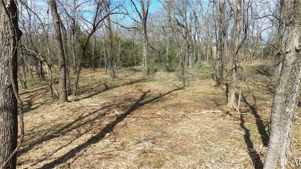 Tract 4 Spring Valley Road — photo 14