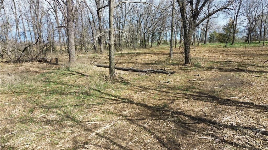 Tract 4 Spring Valley Road — photo 15