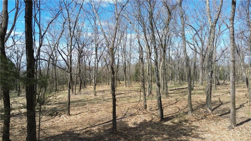Tract 4 Spring Valley Road — photo 16