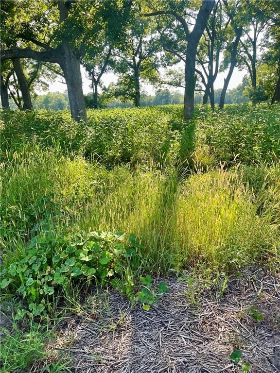 0 60th Road — photo 4