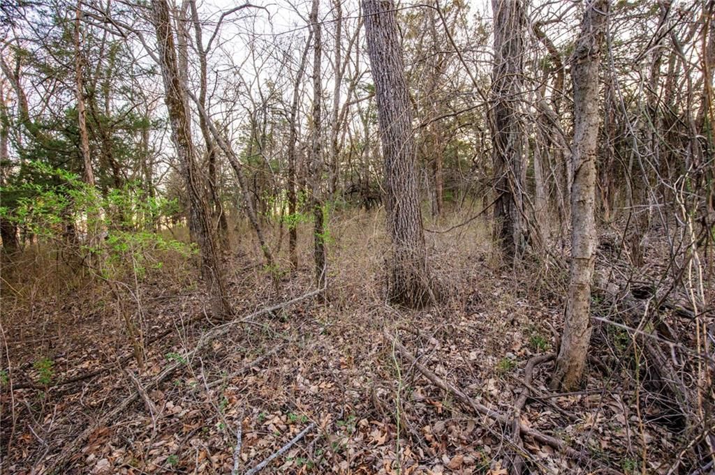 114 W Sugar Lake Drive — photo 5