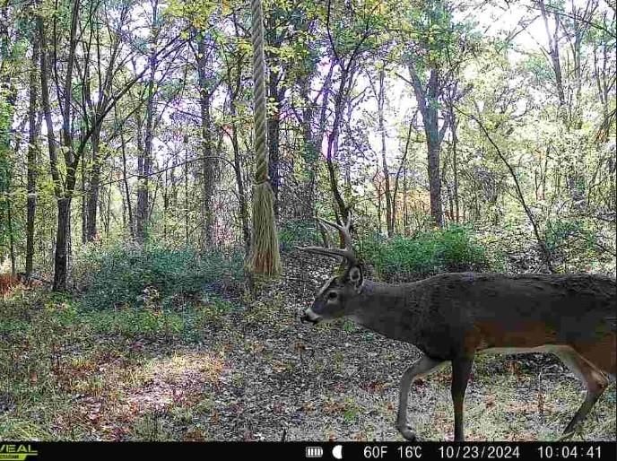 111 NW 238th Pvt Road — photo 39