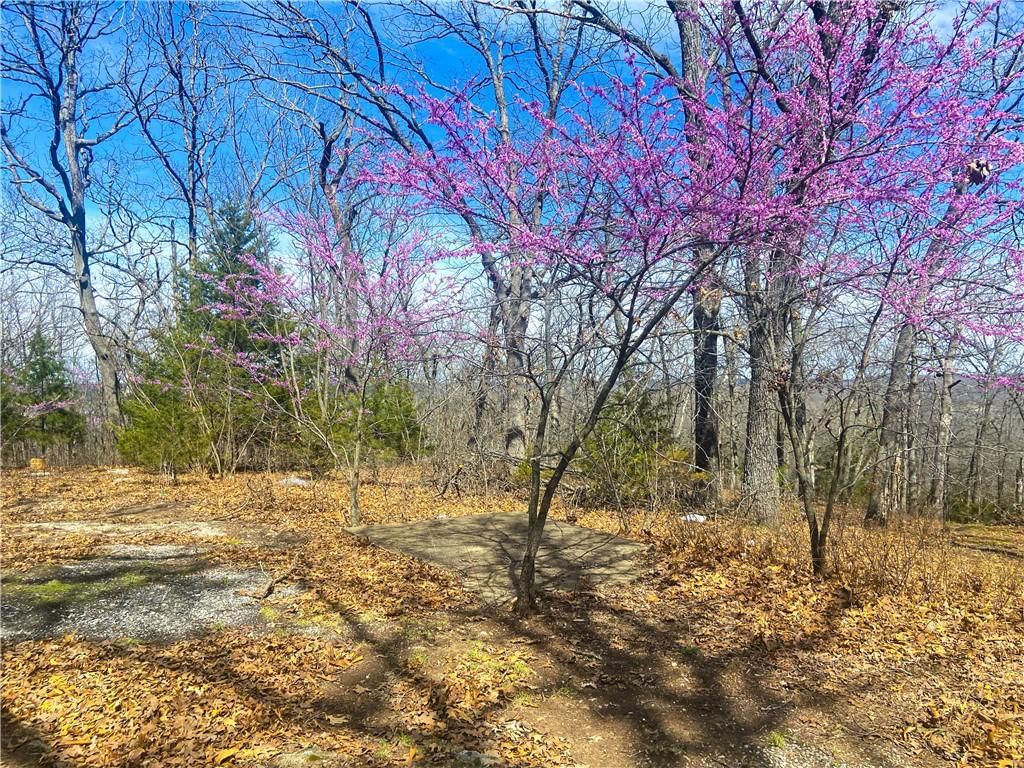 TBD NE 779 Road — photo 13