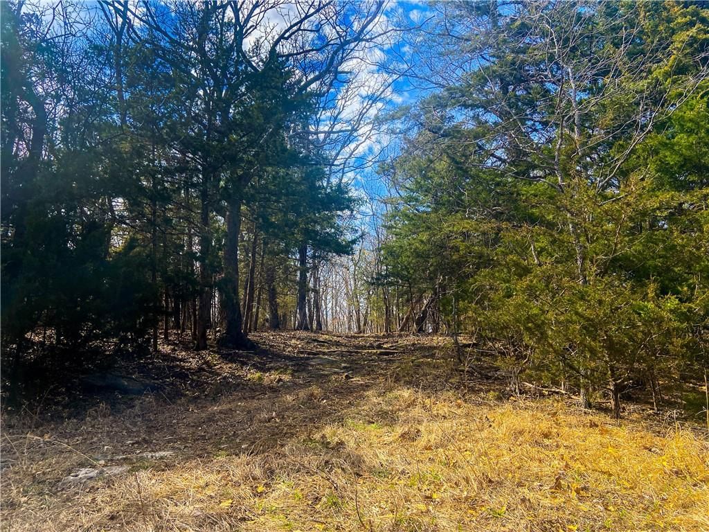 TBD NE 779 Road — photo 15