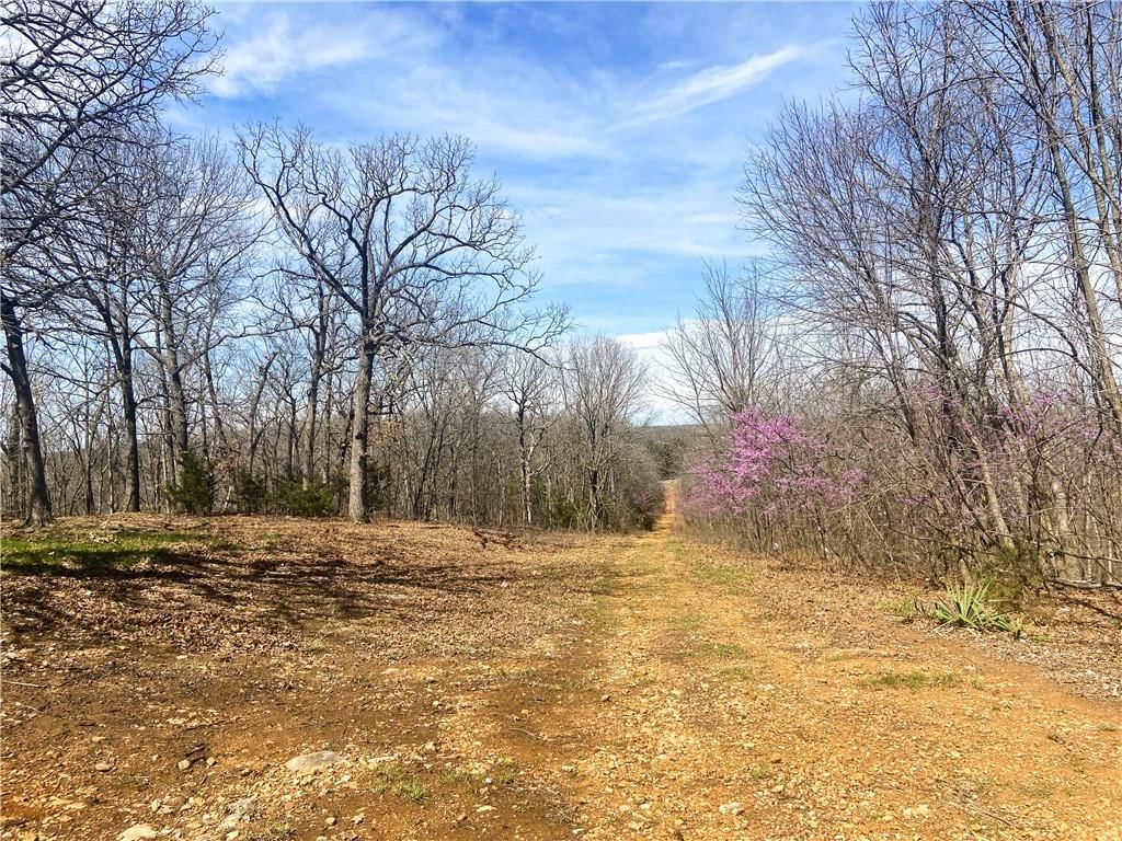 TBD NE 779 Road — photo 16