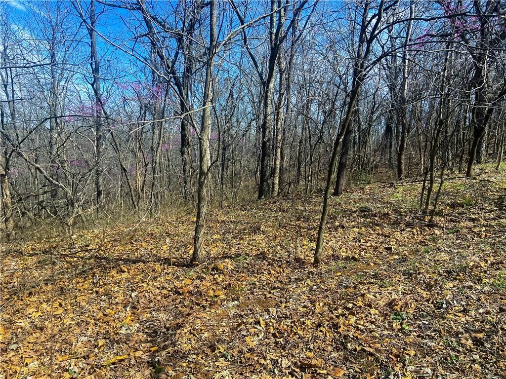 TBD NE 779 Road — photo 21