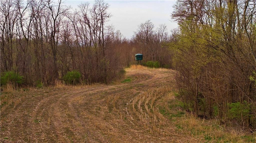 SW Old Highway Road — photo 8