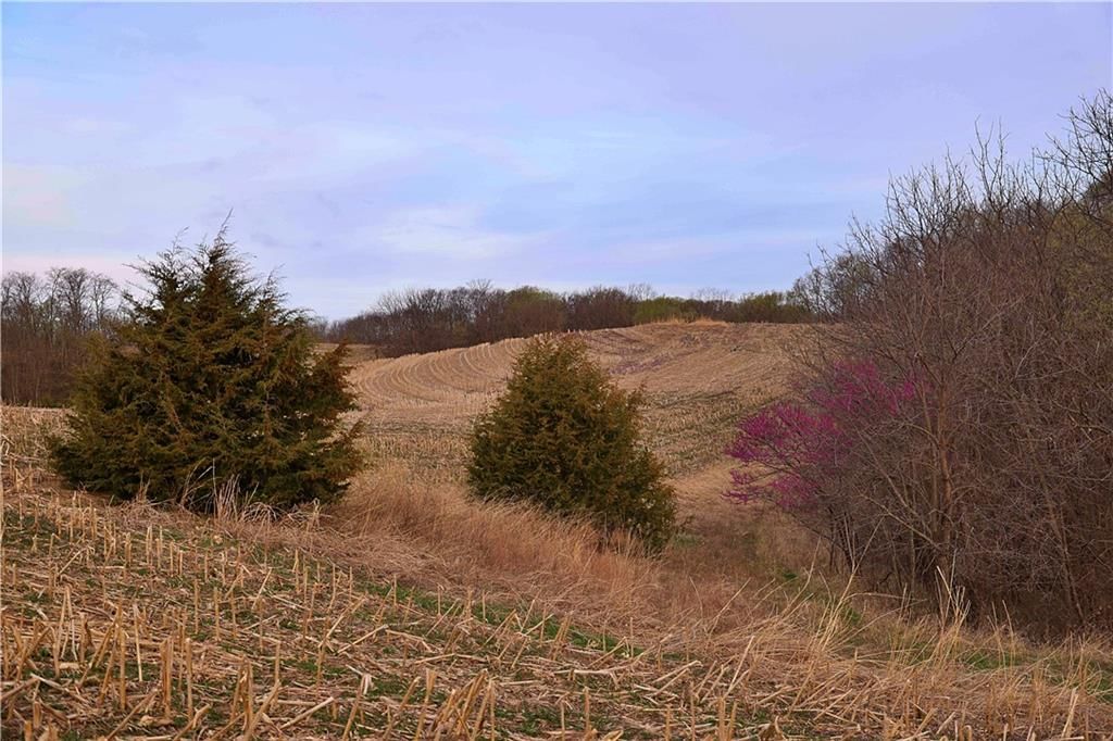 SW Old Highway Road — photo 10