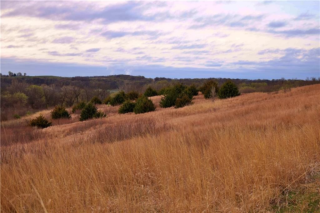 SW Old Highway Road — photo 16