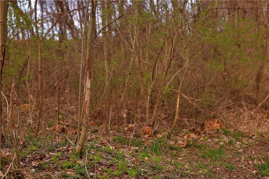 SW Old Highway Road — photo 22