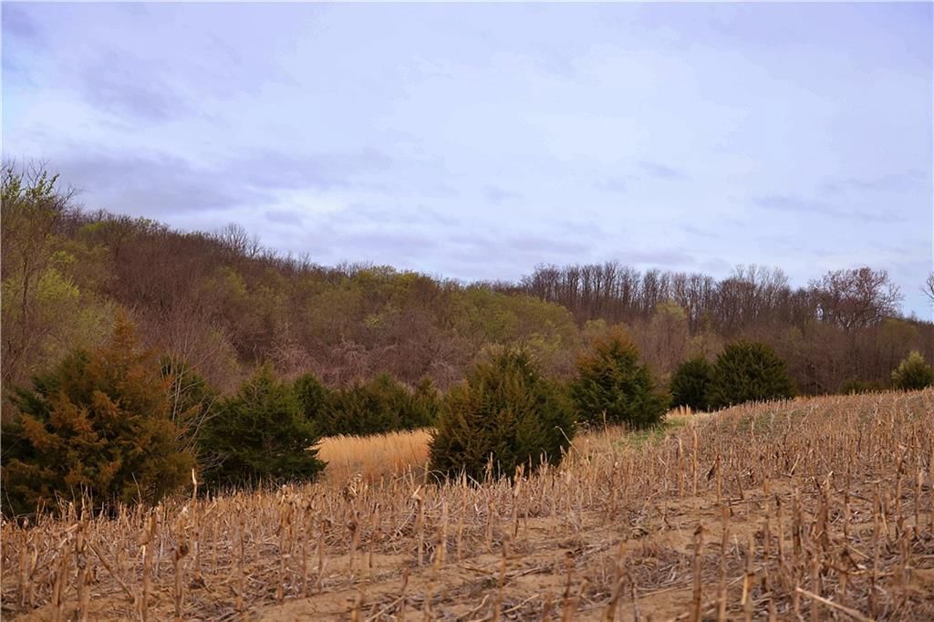 SW Old Highway Road — photo 26