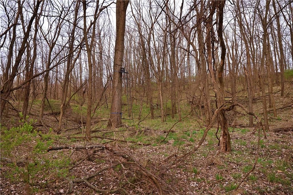 SW Old Highway Road — photo 35