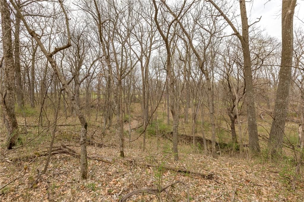 14400 Stringtown Court — photo 15