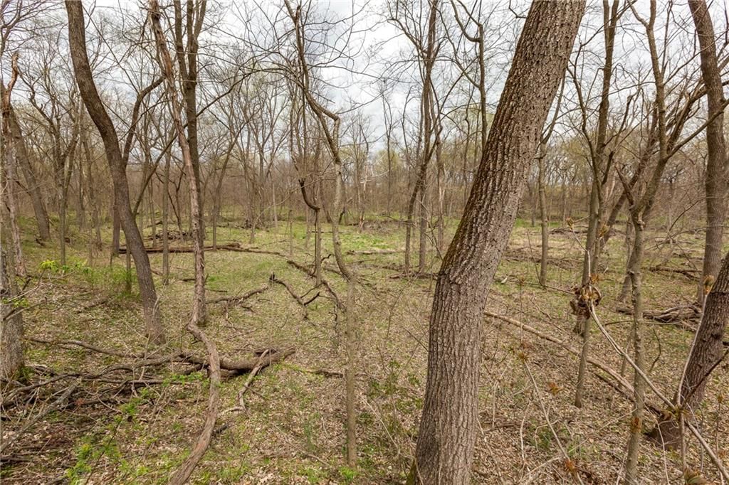 14400 Stringtown Court — photo 36