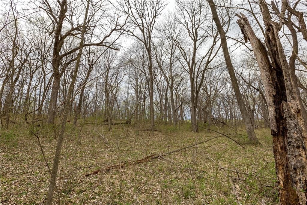 14400 Stringtown Court — photo 38