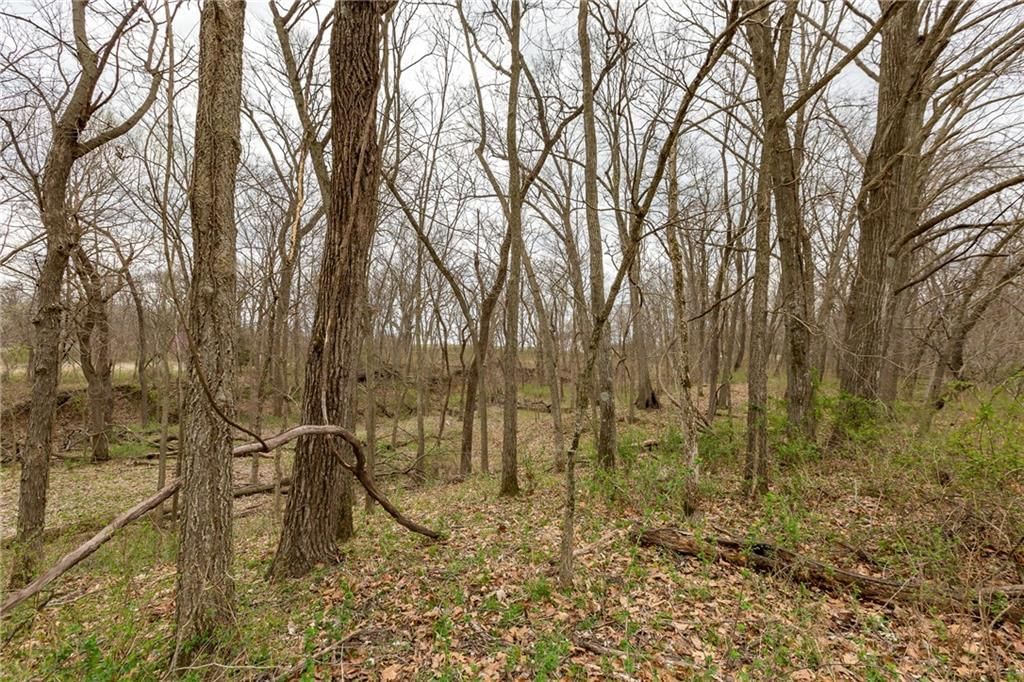 14400 Stringtown Court — photo 48