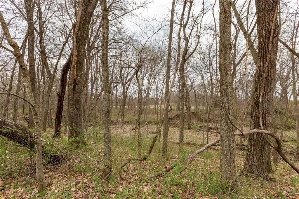 14400 Stringtown Court — photo 49