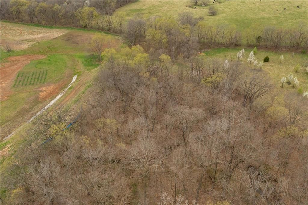 14400 Stringtown Court — photo 57