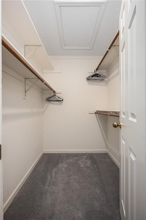 2308 Hebbeln Drive — photo 6