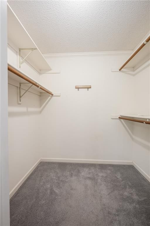 2308 Hebbeln Drive — photo 7