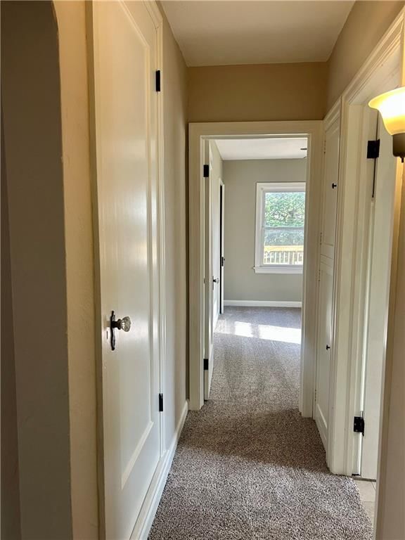 216 Pine Street — photo 17