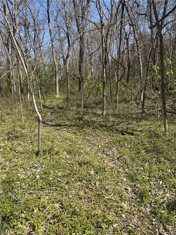 19115 N MO-45 Highway — photo 23
