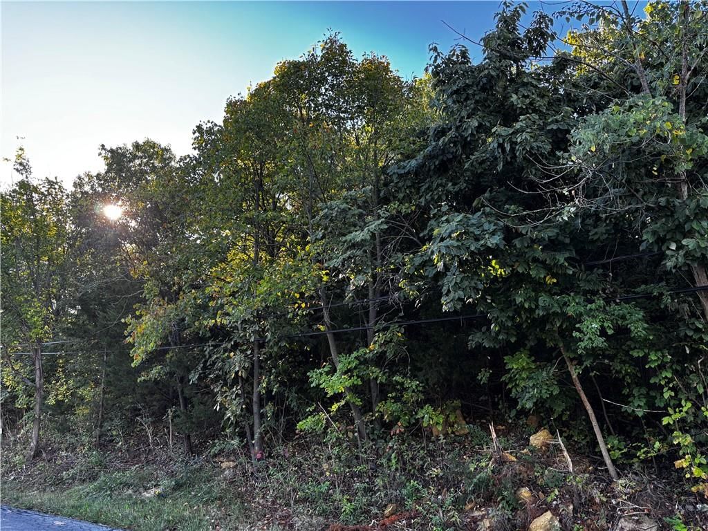 13111 Metropolitan Avenue, Bonner Springs, KS
