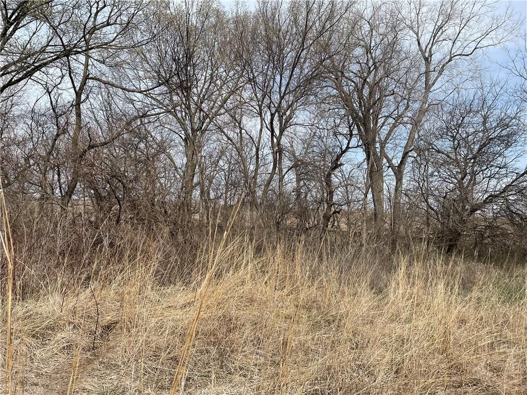 Galaxy Road N/A — photo 8