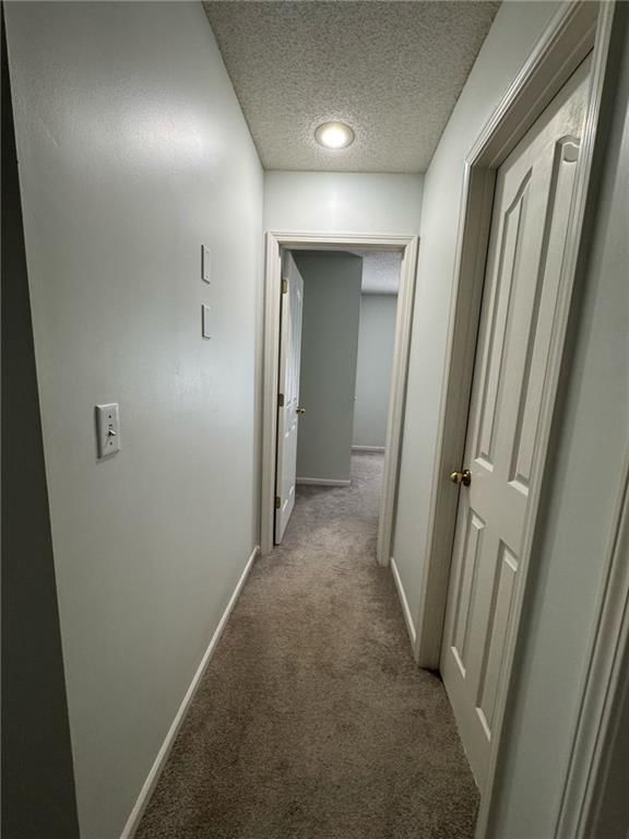 13230 Knox Street — photo 15