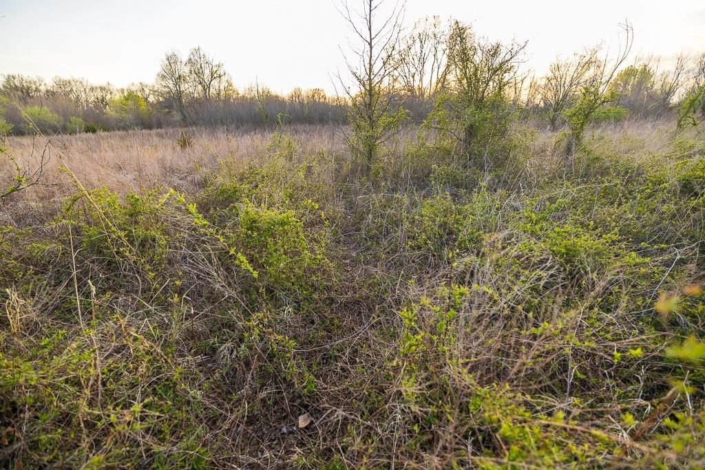 14310 E State Route A Highway — photo 74