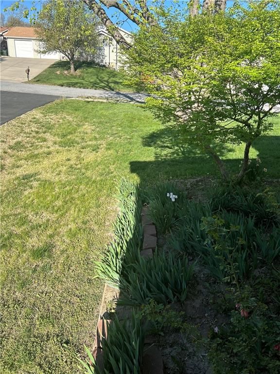509 S 18th Street — photo 29