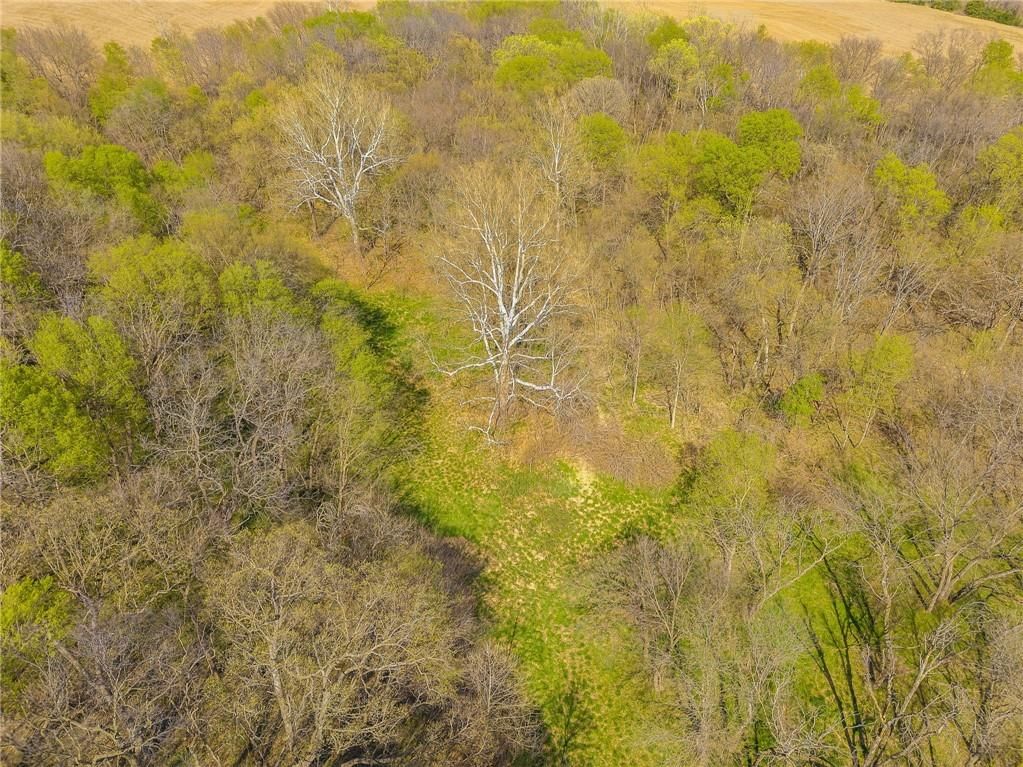 5009 Highway 59 Highway — photo 25