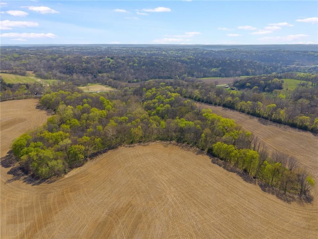 5009 Highway 59 Highway — photo 29