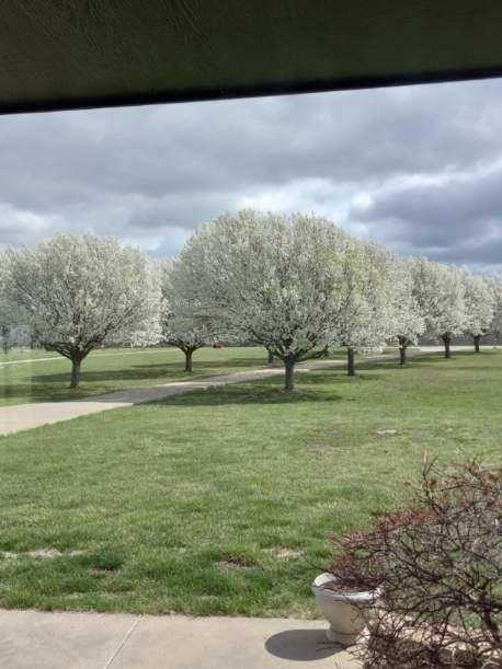 Photo 9 of 38 - 220 Lakota Lane