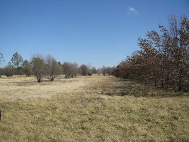 2723 Kingman Road — photo 23